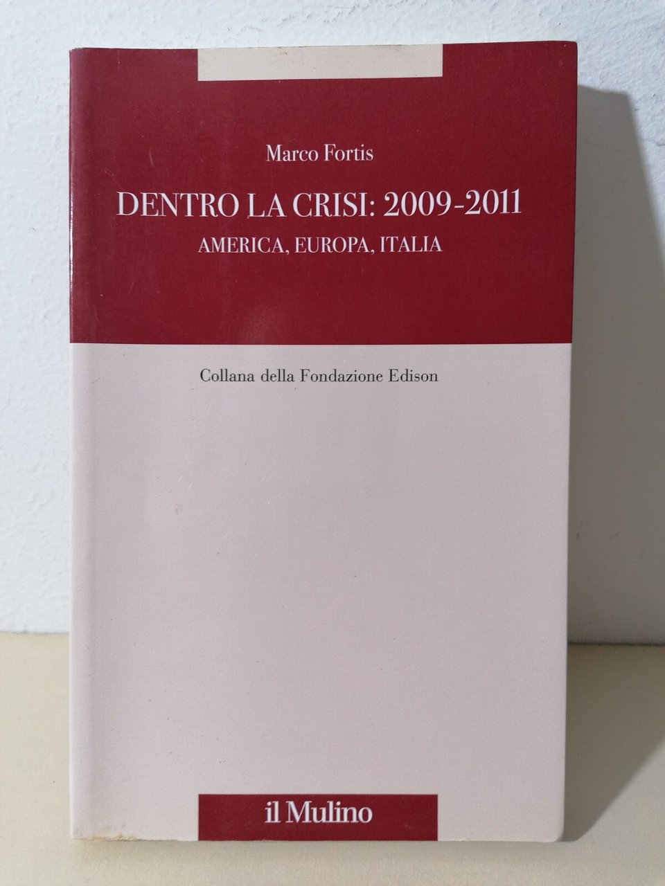 Dentro La Crisi 2009 2011 America Europa Italia Libro Fortis …
