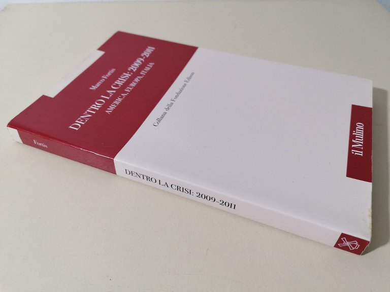 Dentro La Crisi 2009 2011 America Europa Italia Libro Fortis …