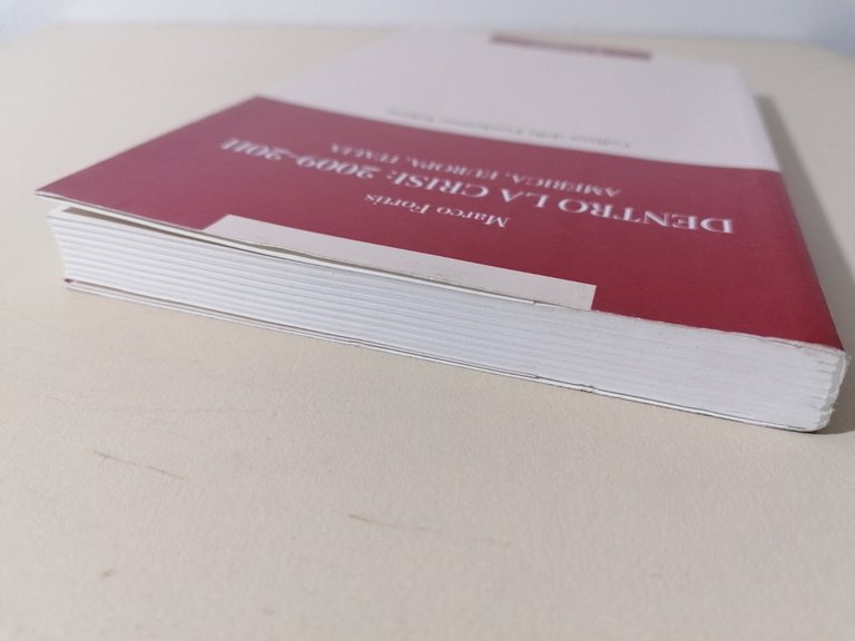 Dentro La Crisi 2009 2011 America Europa Italia Libro Fortis …