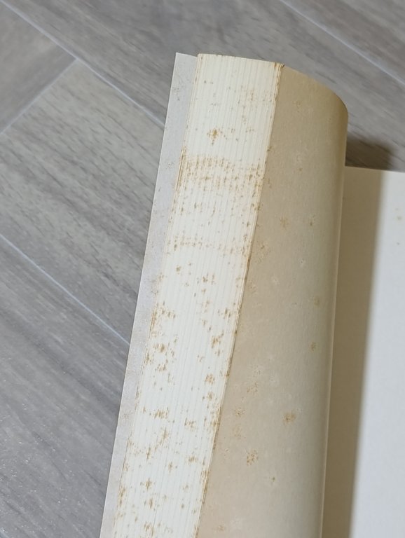 Diario di un incubo. Taccuino 1919-35