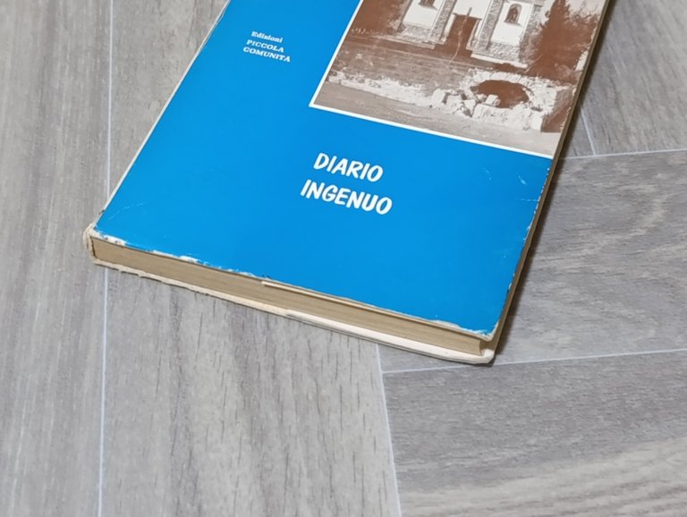 Diario Ingenuo