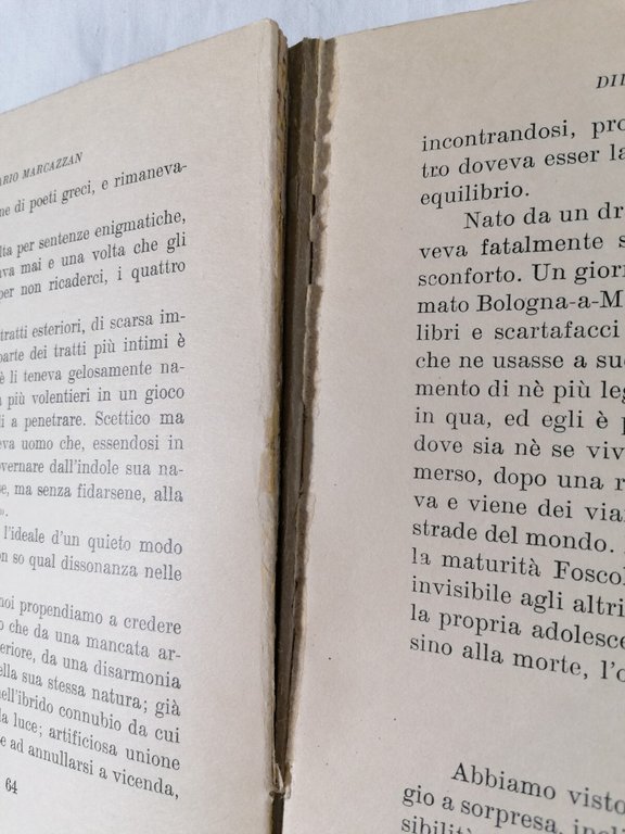 Didimo Chierico e Altri Saggi