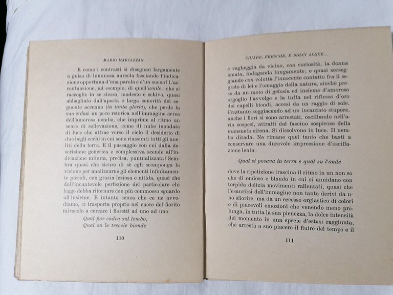 Didimo Chierico e Altri Saggi