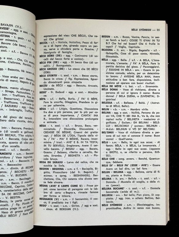 Dizionario Dialettale Sanremasco-Italiano | Immagine Gallery 4