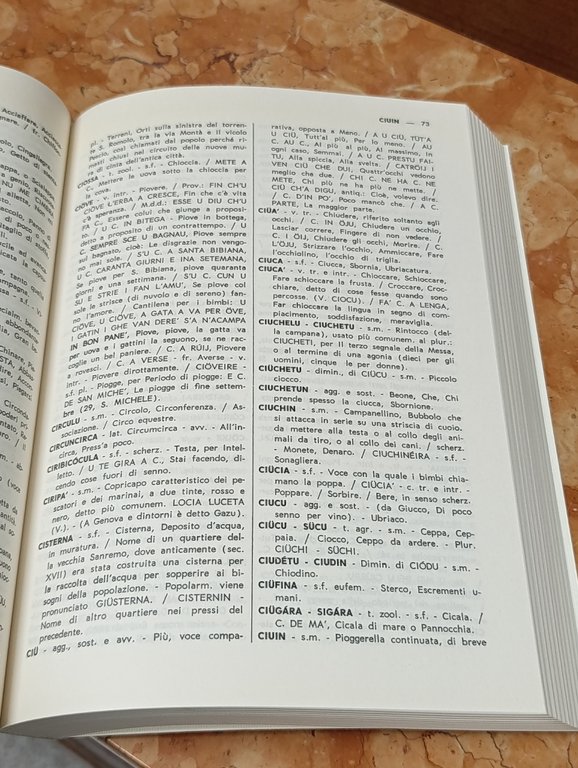 Dizionario Dialettale Sanremasco-Italiano / Italiano-Sanremasco | Immagine Gallery 6