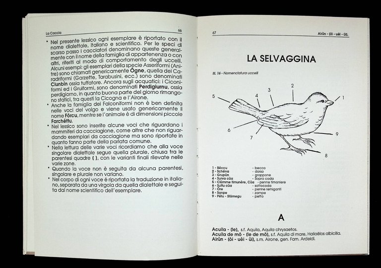 Dizionario Finalese Lessico Dialettale della Pesca e della Caccia Libro …
