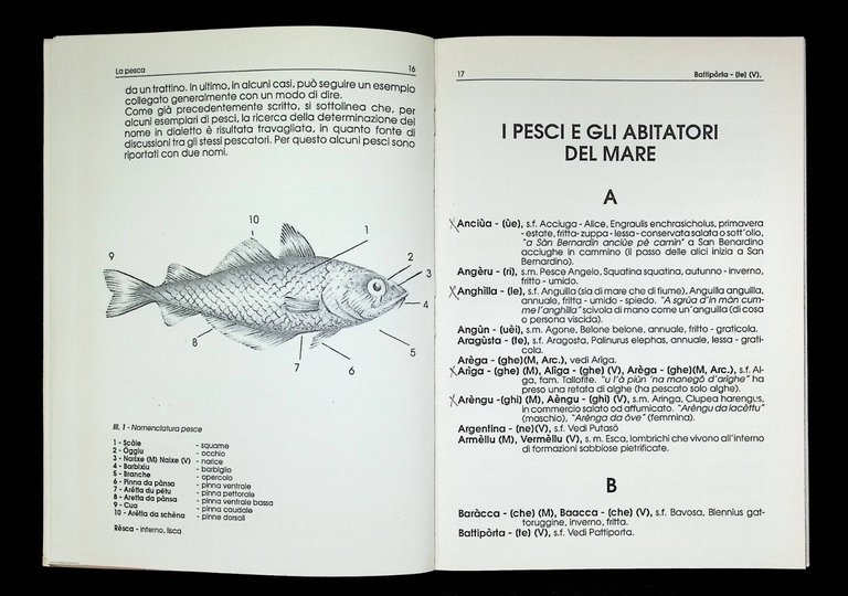 Dizionario Finalese Lessico Dialettale della Pesca e della Caccia Libro …