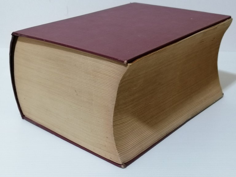 Dizionario Italiano Latino Badellino Rosenberg Sellier Edizione Speciale 1964