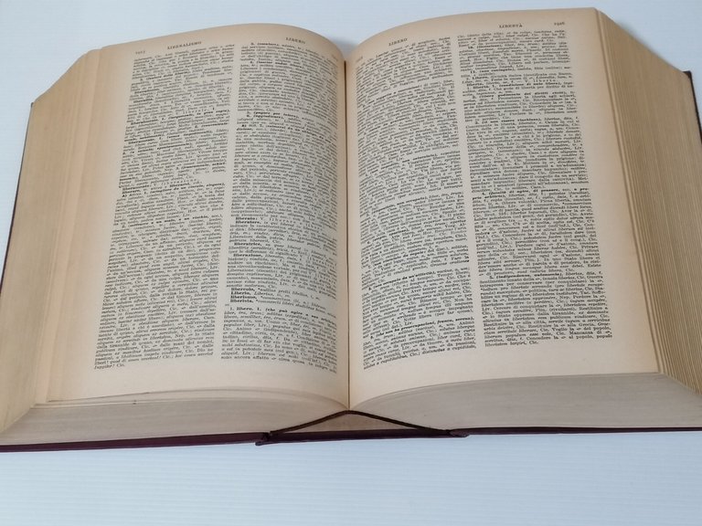 Dizionario Italiano Latino Badellino Rosenberg Sellier Edizione Speciale 1964