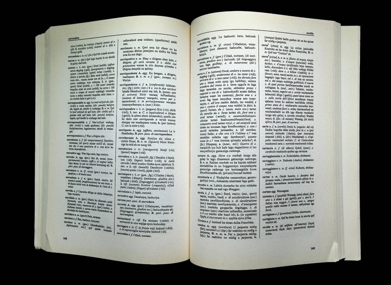 Dizionario Italiano Somalo Libro Puglielli Carocci 8843011154 Prima Edizione