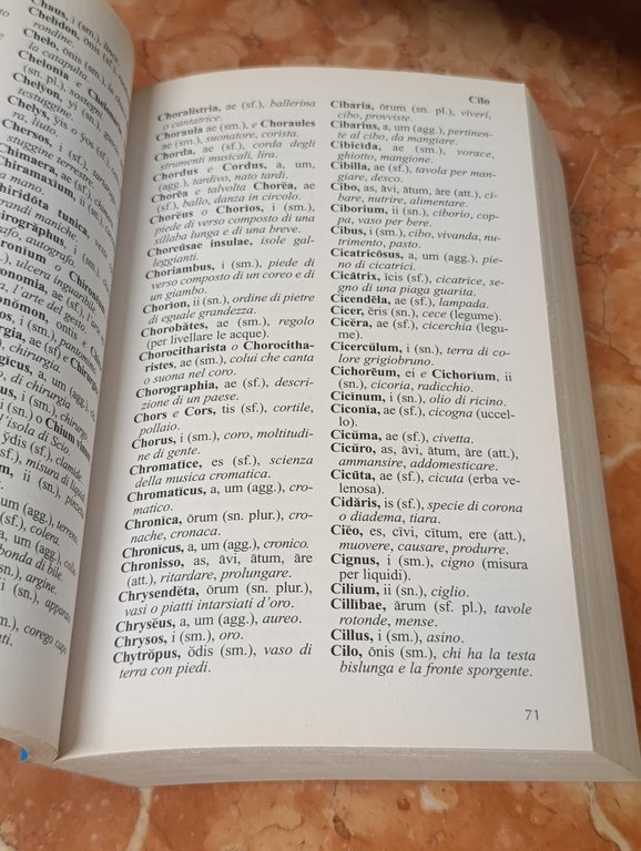 Dizionario Latino Rusconi Libri. Edizione Aggiornata | Immagine Gallery 8