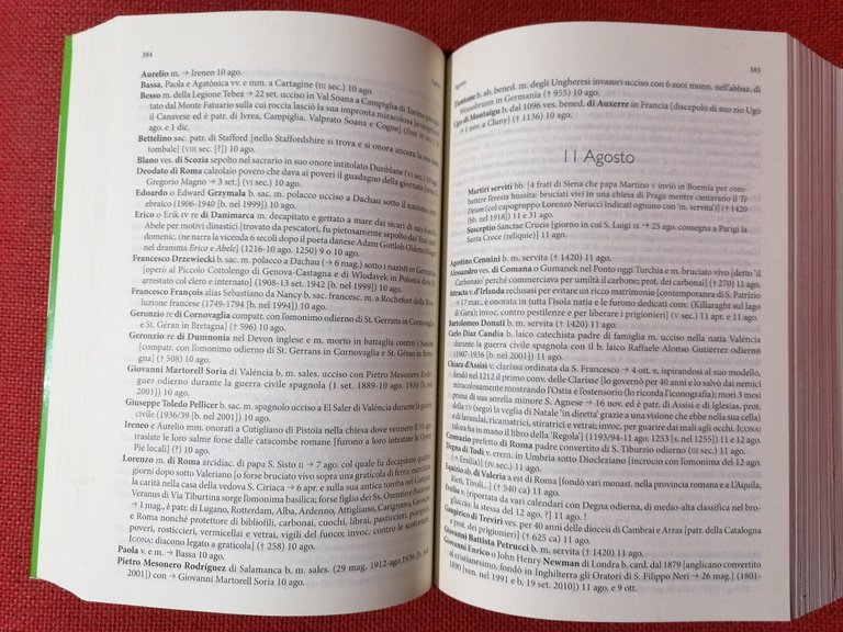 Dizionario Ragionato dei Santi Libro Francipane 11811 Patroni da Aaron …