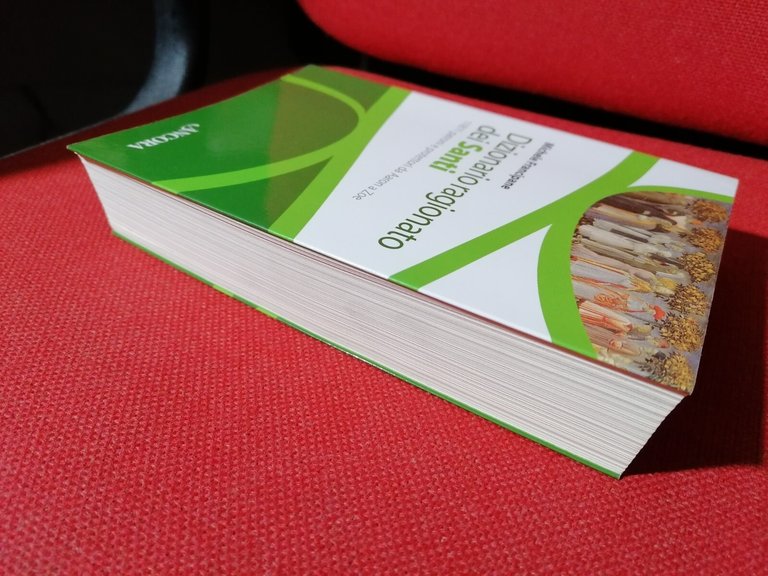 Dizionario Ragionato dei Santi Libro Francipane 11811 Patroni da Aaron …