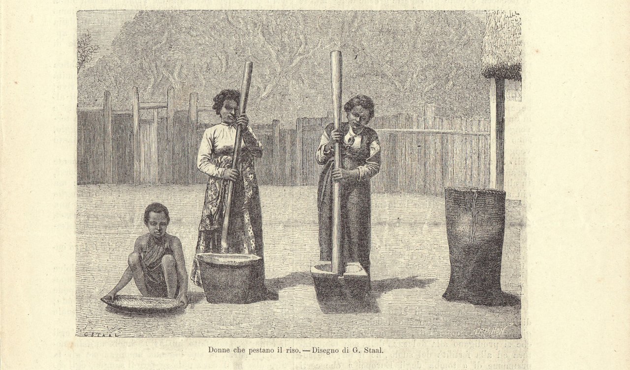 Donne che pestano il riso (Madagascar). Illustrazione 1864 | Immagine principale