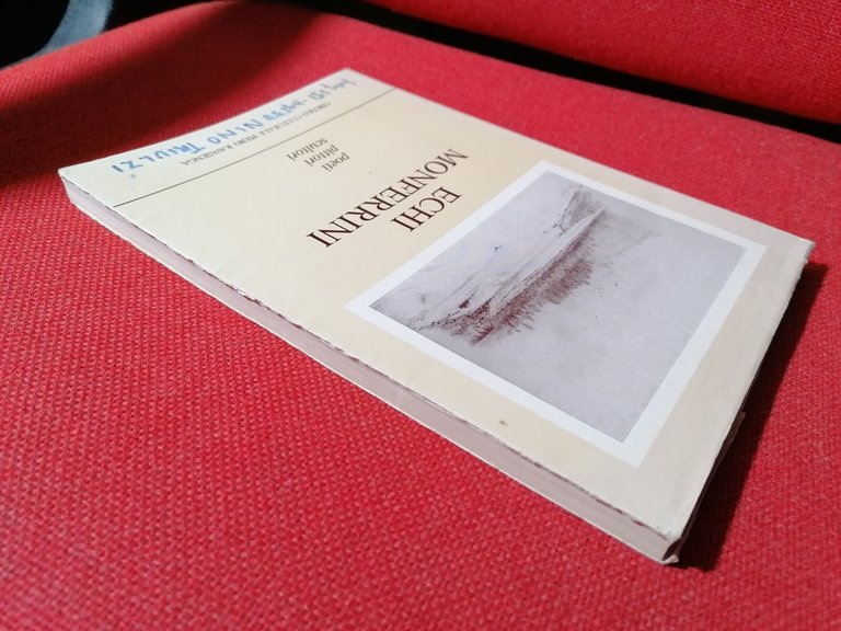 Echi Monferrini - Libro Poeti pittori scultori Piero Ravasenga 1988 …