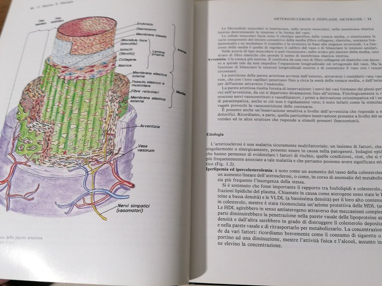 Elementi di Patologia e Chirurgia Vascolare Libro Delfino Editore 1988 …