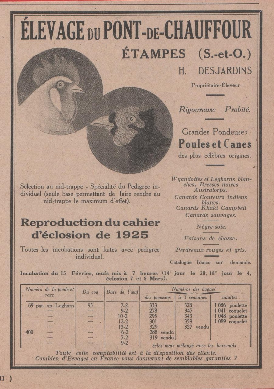 Elevage du Pont de Chauffour. Étampes (S et O.). Advertising … | Immagine principale