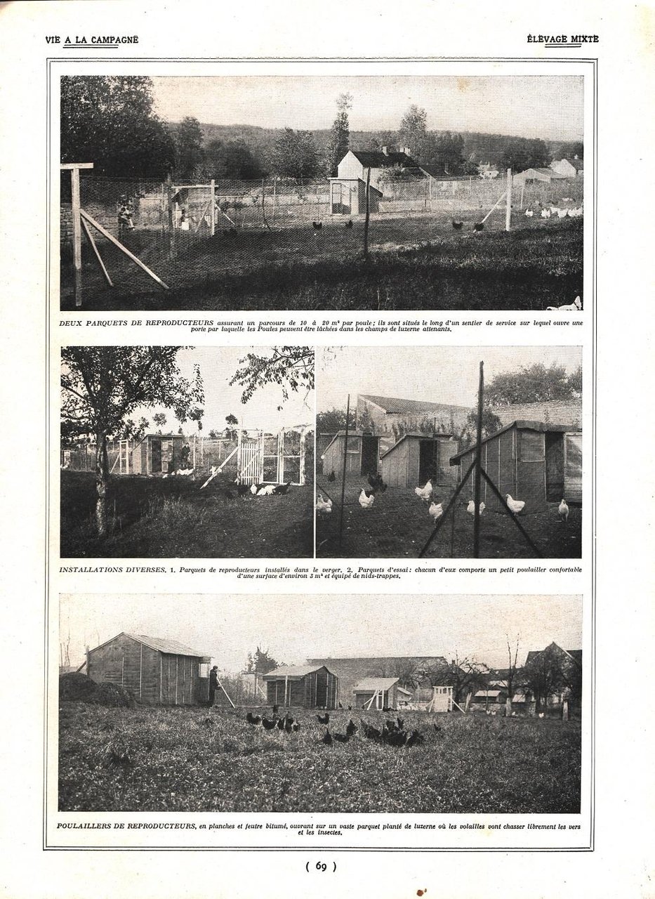 Elevage mixtè. Stampa 1924 | Immagine principale