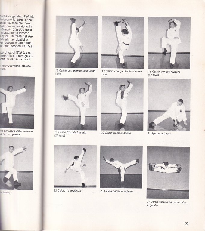 Enciclopedia del Kung Fu Shaolin | Immagine Gallery 3