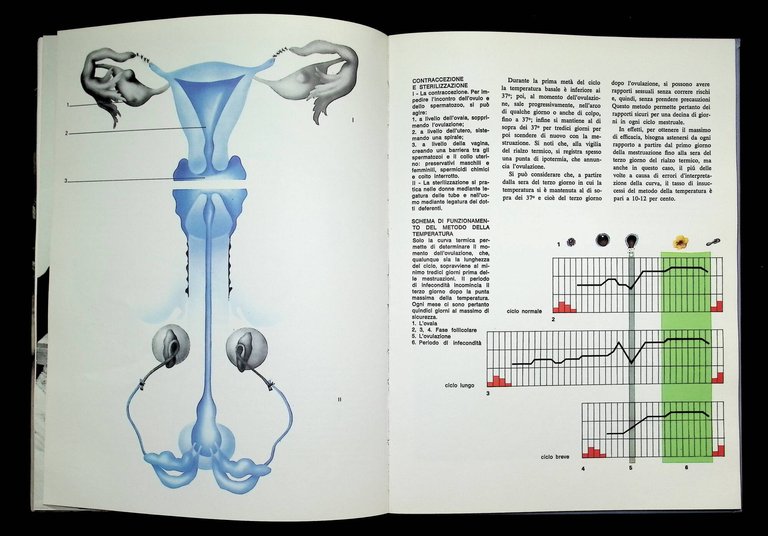 Enciclopedia della Vita Sessuale. Prima Edizione