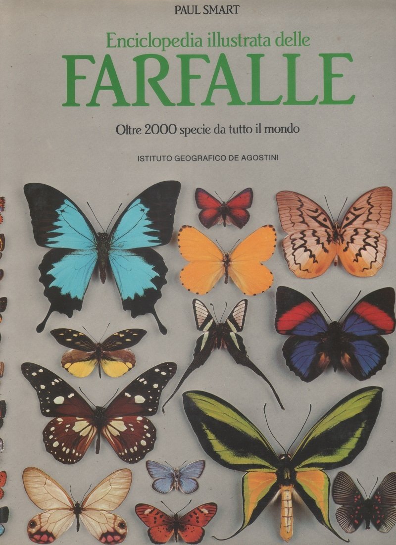 Enciclopedia illustrata delle farfalle | Immagine principale