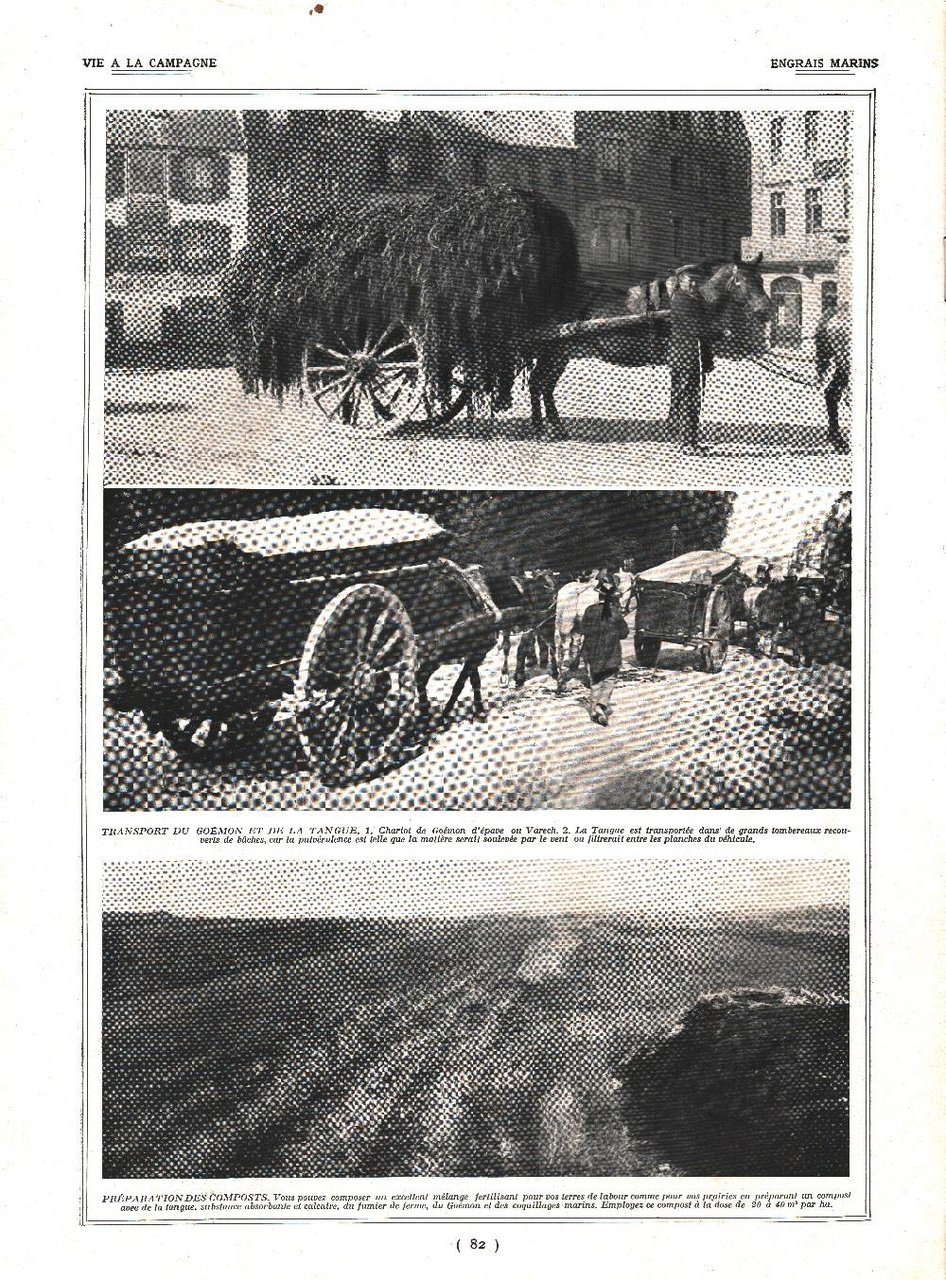 Engras marine / Pois de senteur. Stampa 1924 | Immagine principale