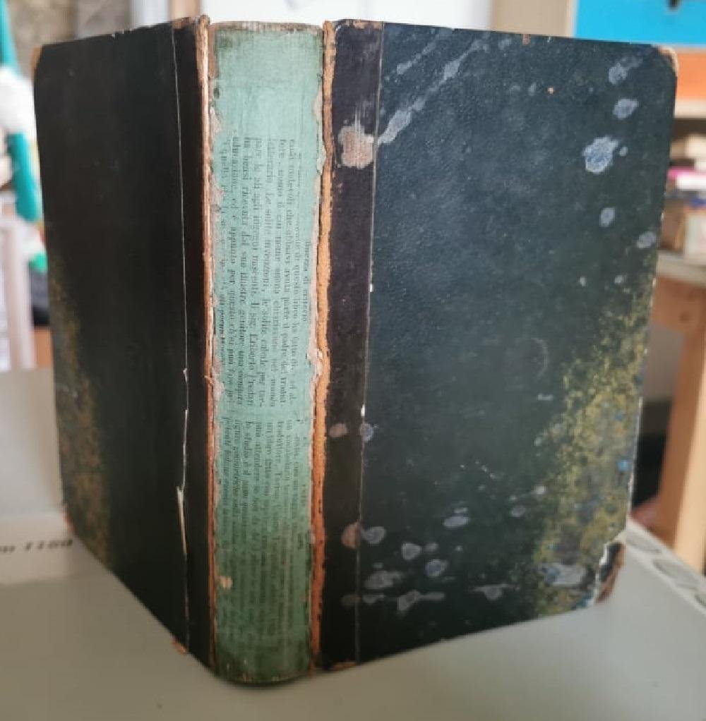 Epistolario di Giuseppe Giusti ordinato da Giovanni Frassi. Volume 1 | Immagine principale