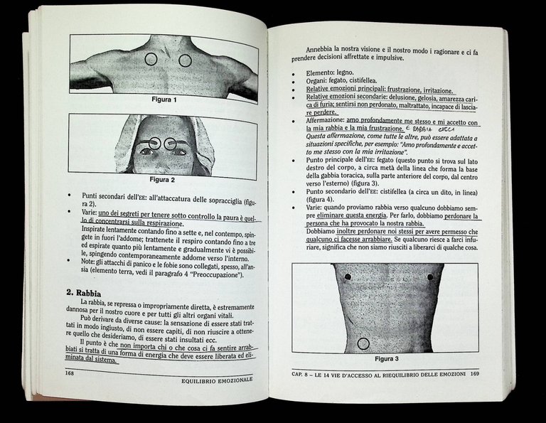 Equilibrio emozionale. Dal massimo impegno all'annullamento di ogni fatica: la …