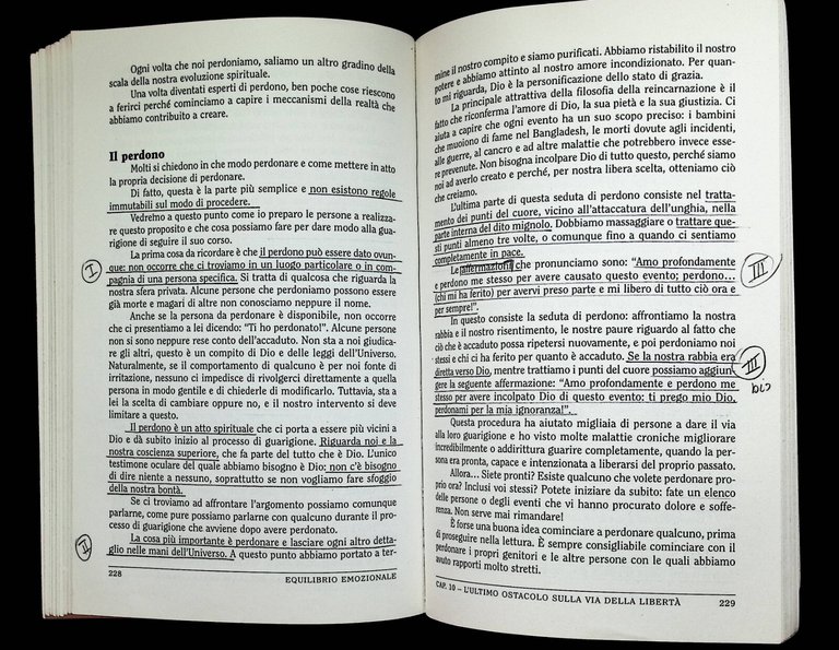 Equilibrio emozionale. Dal massimo impegno all'annullamento di ogni fatica: la …