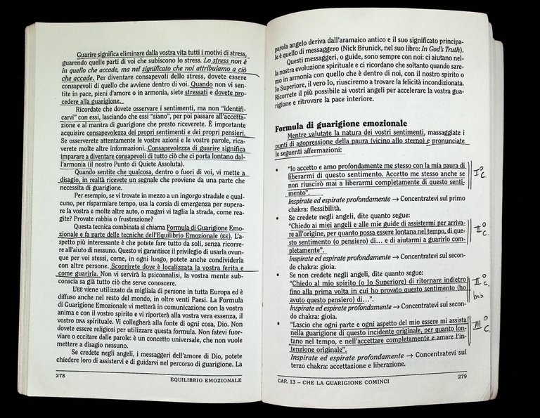 Equilibrio emozionale. Dal massimo impegno all'annullamento di ogni fatica: la …