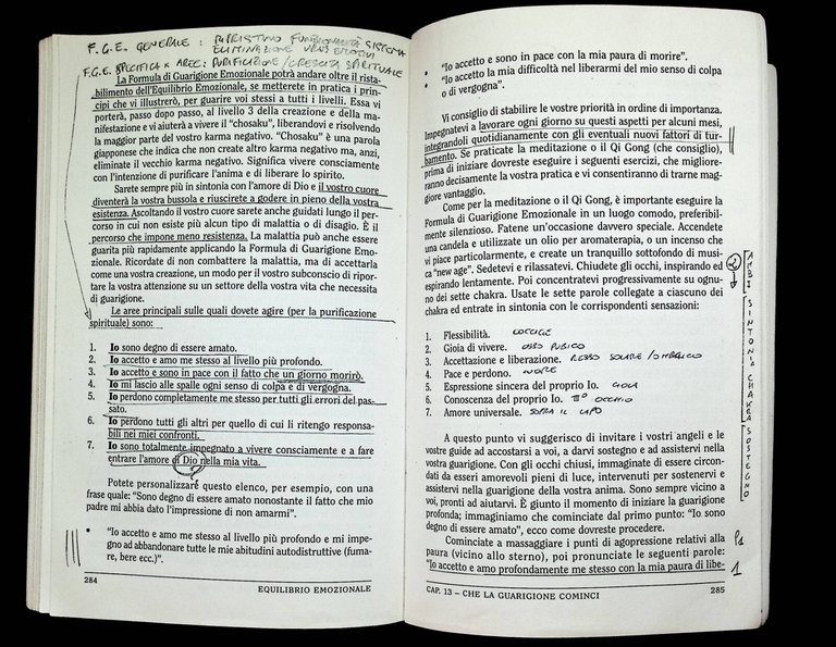 Equilibrio emozionale. Dal massimo impegno all'annullamento di ogni fatica: la …
