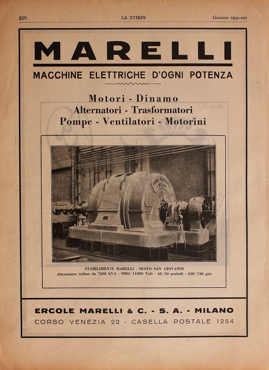 Ercole Marelli &amp; C./Biscotti Friola. Advertising 1930 | Immagine principale