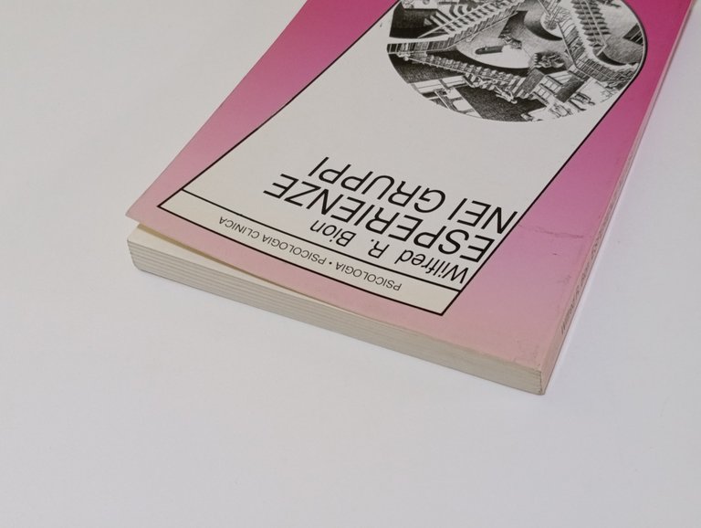 Esperienze nei gruppi e altri saggi