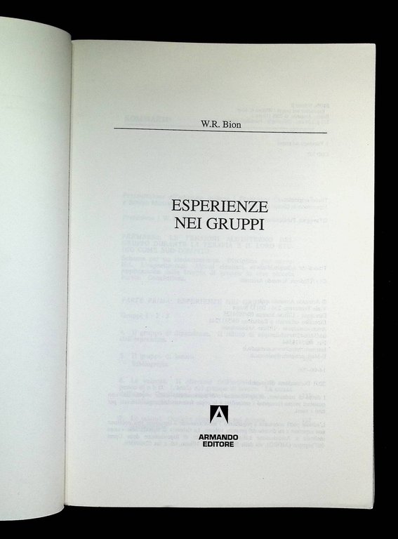 Esperienze nei gruppi e altri saggi