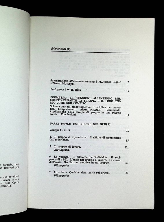 Esperienze nei gruppi e altri saggi