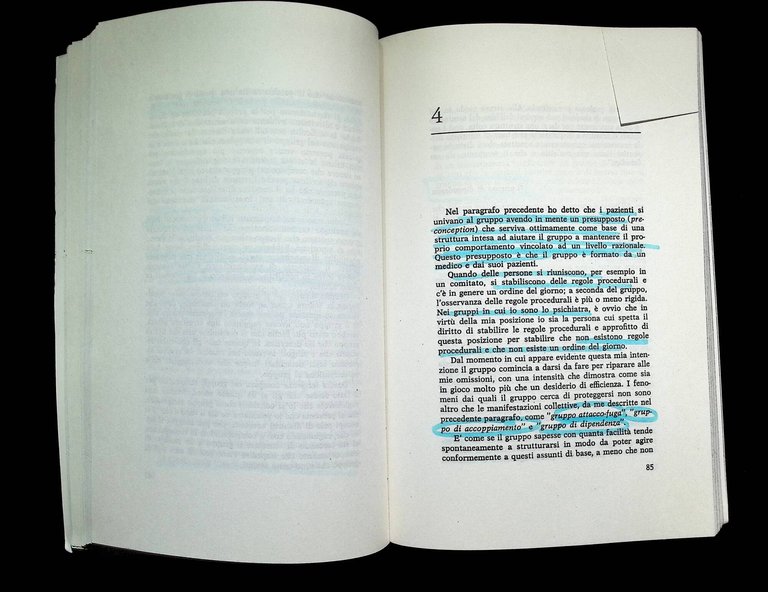 Esperienze nei gruppi e altri saggi