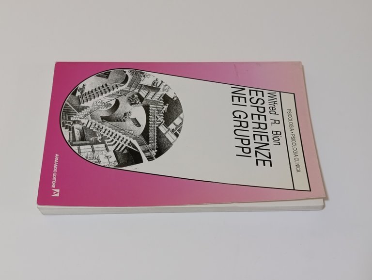 Esperienze nei gruppi e altri saggi