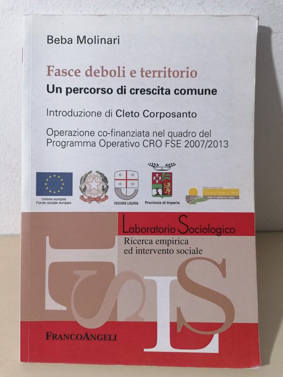 Fasce Deboli E Territorio Libro Beba Molinari Sociologia Franco Angeli …