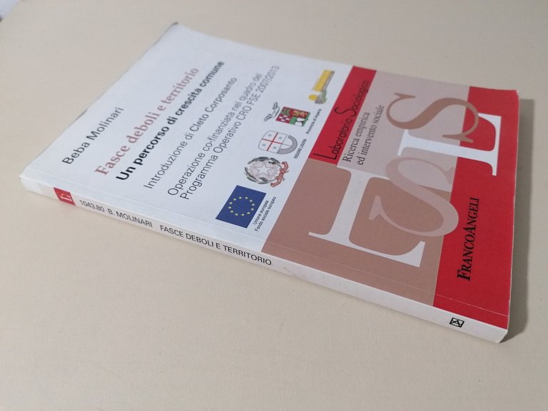 Fasce Deboli E Territorio Libro Beba Molinari Sociologia Franco Angeli …