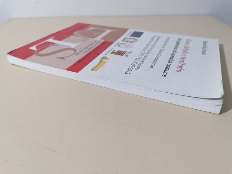 Fasce Deboli E Territorio Libro Beba Molinari Sociologia Franco Angeli …