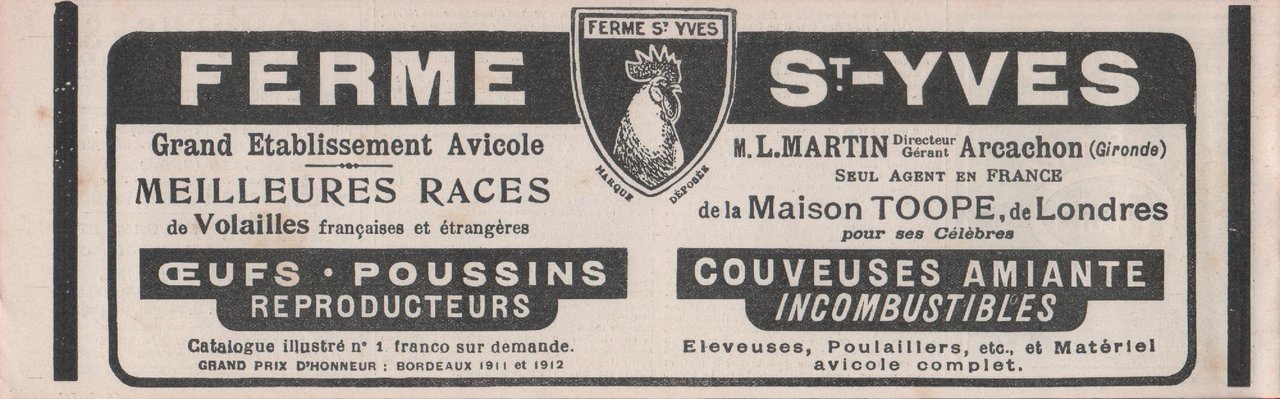 Ferme St. Yves. Oeufs, poussis, couveuses Amiante. Arcachon. Advertising 1912 | Immagine principale