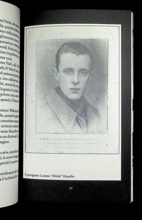 Ferro. Vita ribelle di Luciano «Mirko» Gianello, partigiano