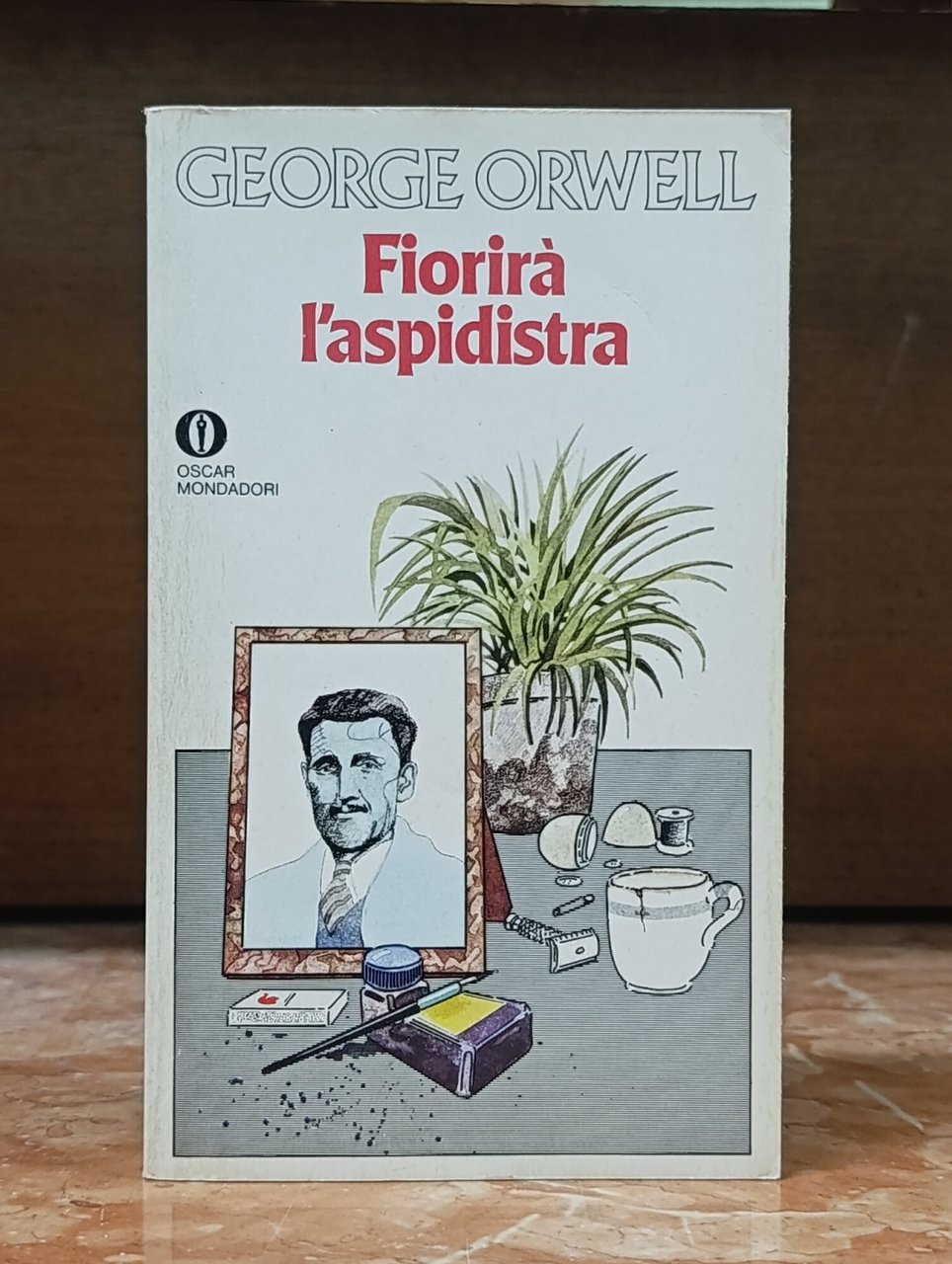 Fiorirà l'aspidistra | Immagine principale