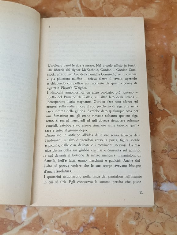 Fiorirà l'aspidistra | Immagine Gallery 10