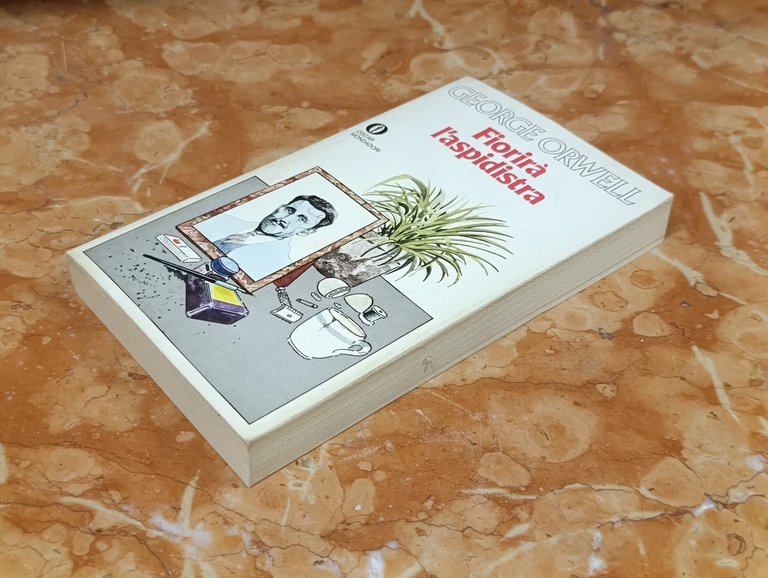 Fiorirà l'aspidistra | Immagine Gallery 5