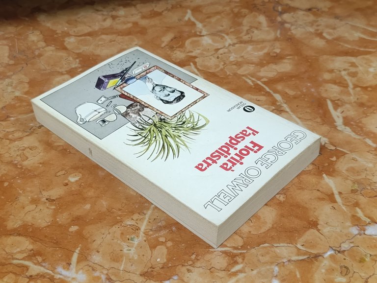 Fiorirà l'aspidistra | Immagine Gallery 6