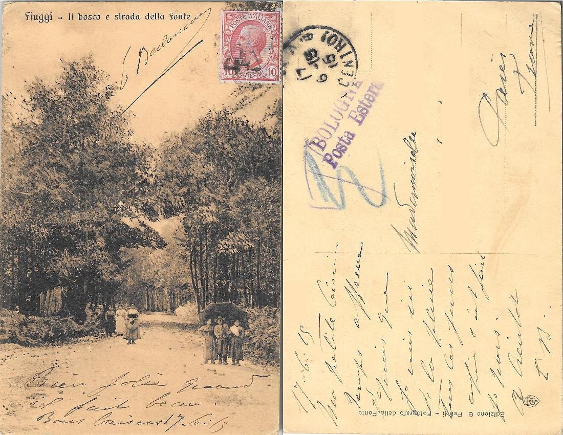 Fiuggi. Il Bosco e Strada della Fonte. Viaggiata 1915 | Immagine principale