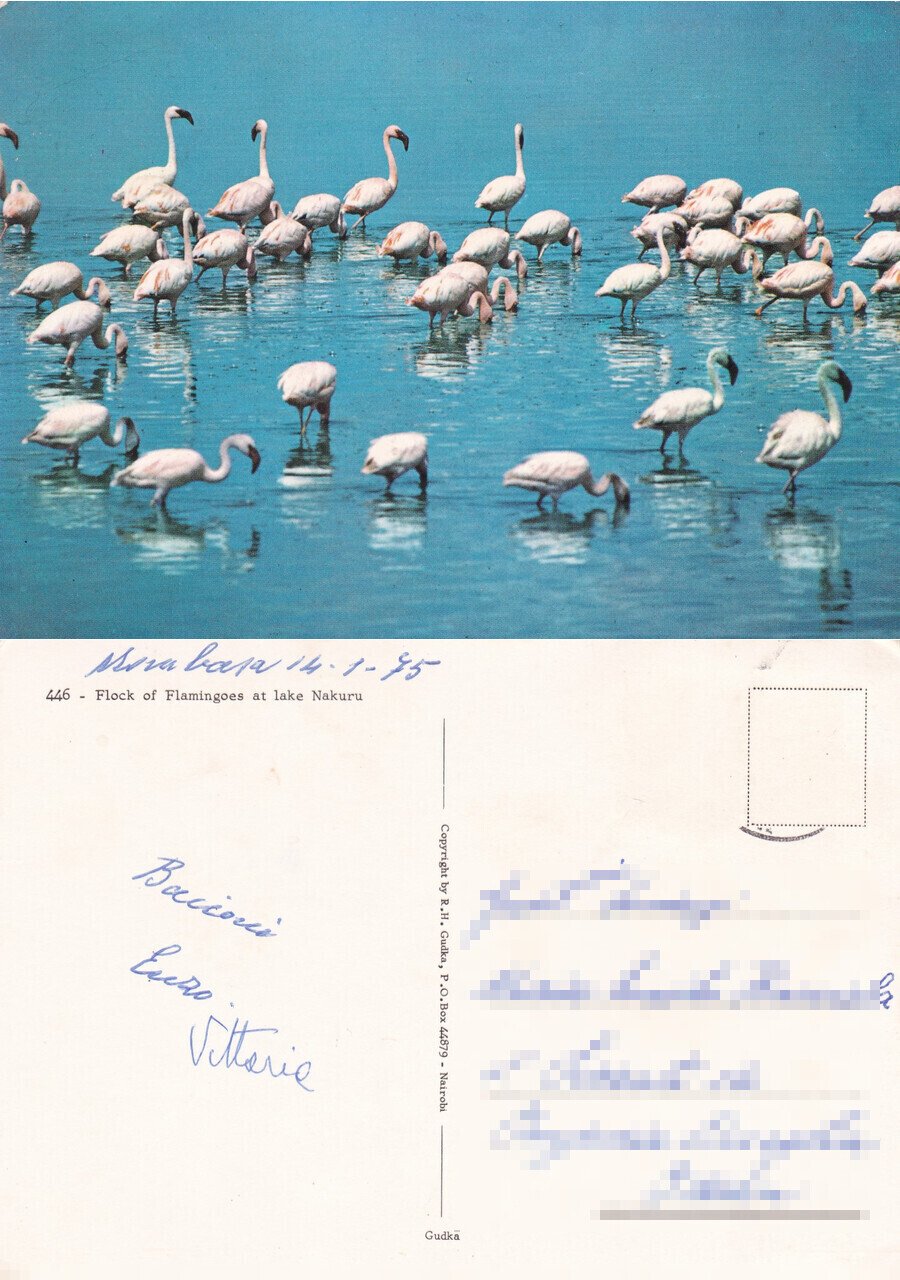 Flamingoes at Lake Nakuru - Viaggiata 1975 | Immagine principale