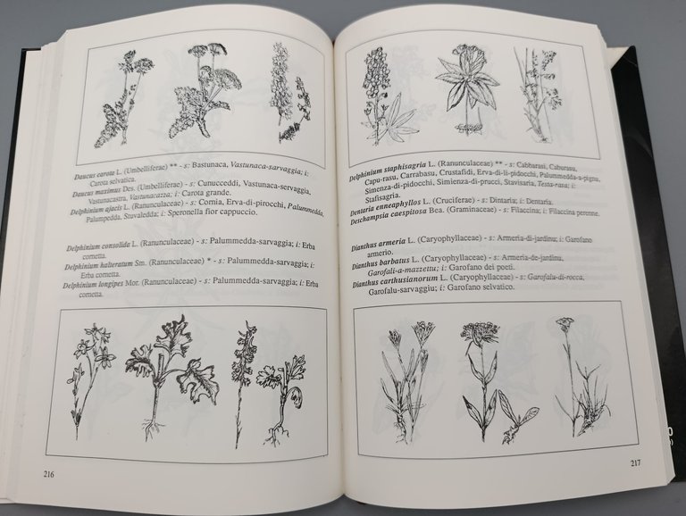 Flora Sicula. Dizionario Trilingue Illustrato