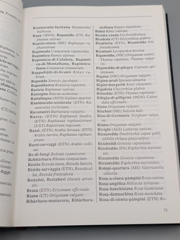 Flora Sicula. Dizionario Trilingue Illustrato